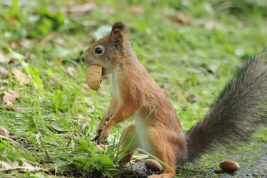 Similar image 21656955