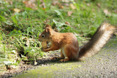 Similar image 21656956