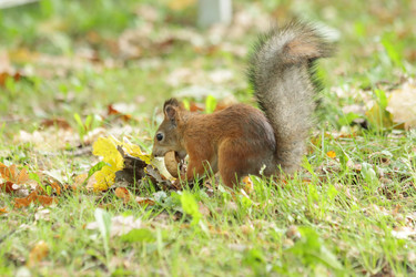 Similar image 21656957