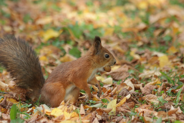 Similar image 21656958