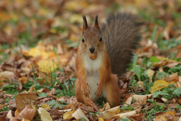 Similar image 21656960