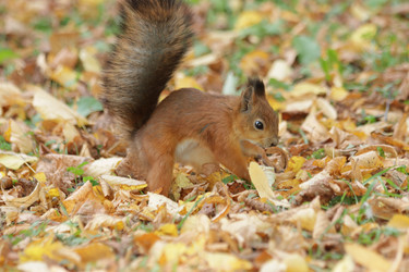 Similar image 21656961