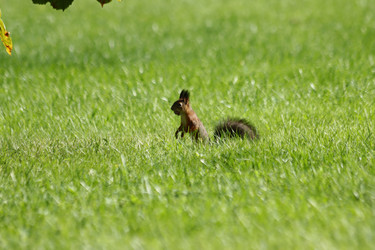 Similar image 21656962