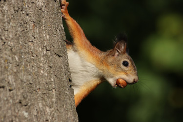 Similar image 21656963