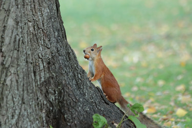 Similar image 21656964