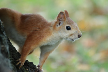 Similar image 21657128