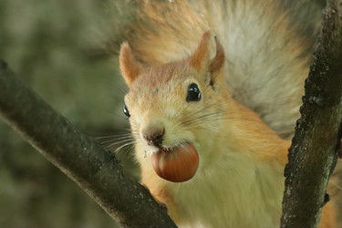 Similar image 21657130