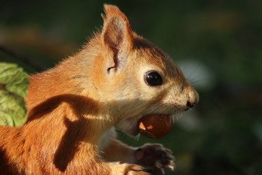 Similar image 21657131