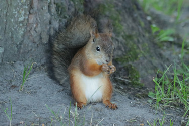 Similar image 21657134