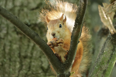 Similar image 21657135