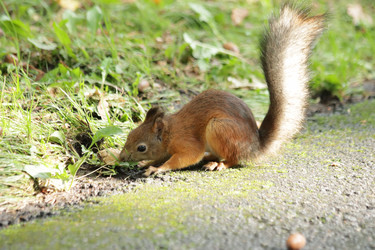 Similar image 21657136