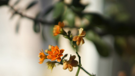 Similar image 21657660