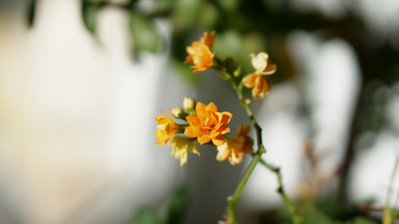 Similar image 21657662