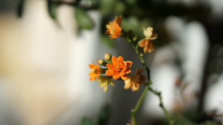 Similar image 21657663