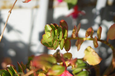 Similar image 21657664