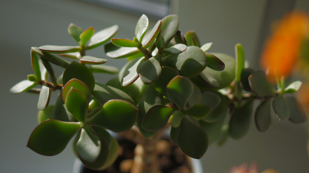 Similar image 21657665