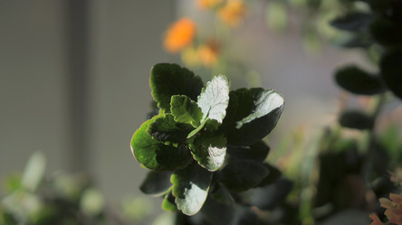 Similar image 21657666