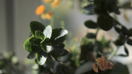 Similar image 21657667