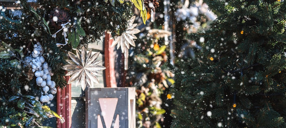 Similar image 21653096