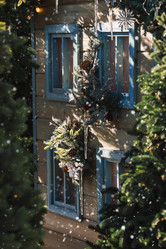 Similar image 21653108