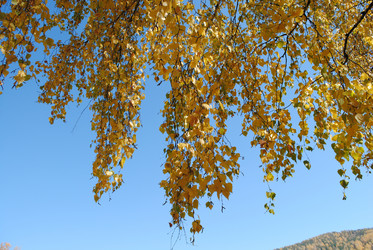 Similar image 21652548