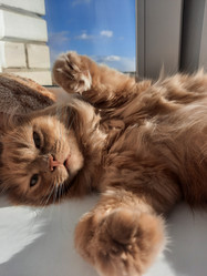 Similar image 21652502