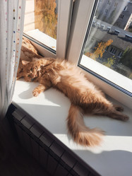 Similar image 21652503