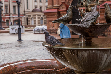 Similar image 21653129