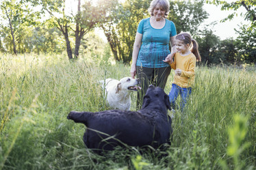 Similar image 21656877