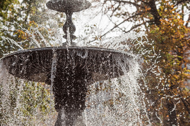 Similar image 21654068