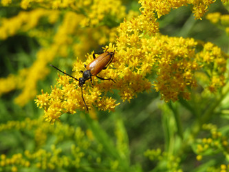 Similar image 21652564