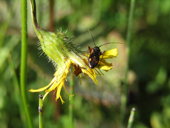 Similar image 21652565