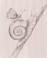 Similar image 21653612