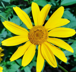 Similar image 21652735