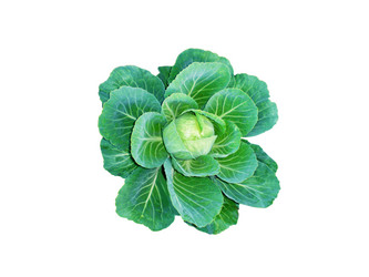 Similar image 21652759