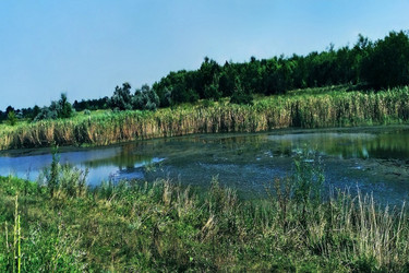 Similar image 21652762