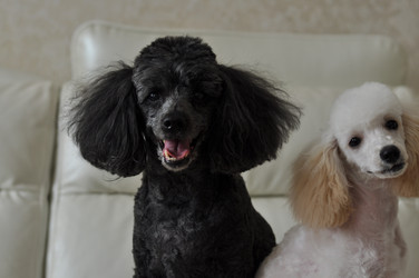 Similar image 21653633