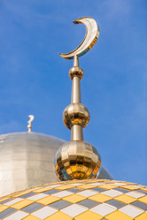 Similar image 21653430