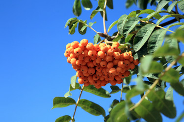 Similar image 21654725