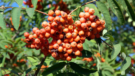 Similar image 21654085