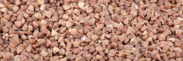 Similar image 21654087