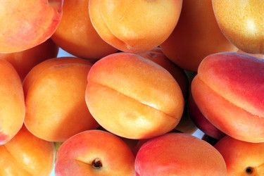 Similar image 21654093