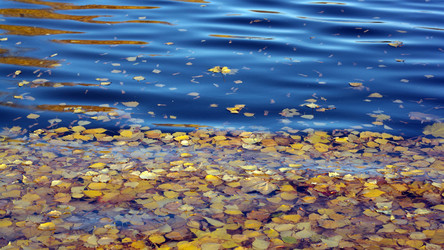 Similar image 21654094