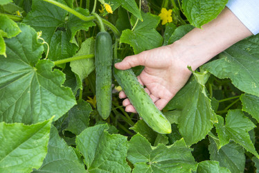 Similar image 21654749