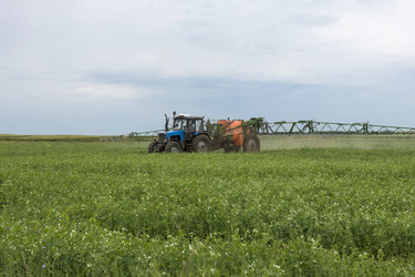 Similar image 21654753