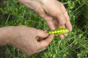 Similar image 21654754