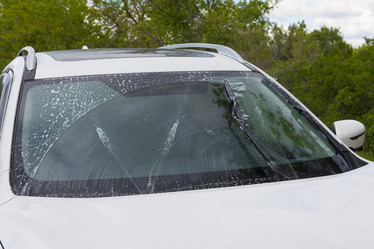 Similar image 21654761