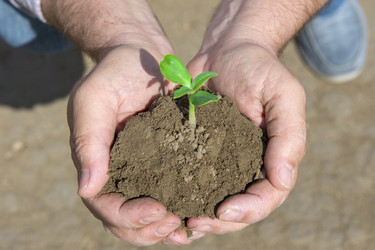 Similar image 21654771