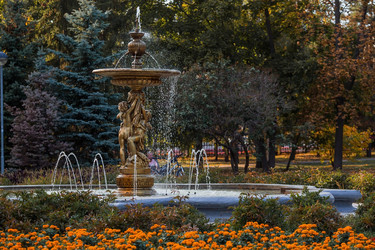 Similar image 21653463