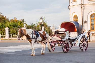 Similar image 21654017